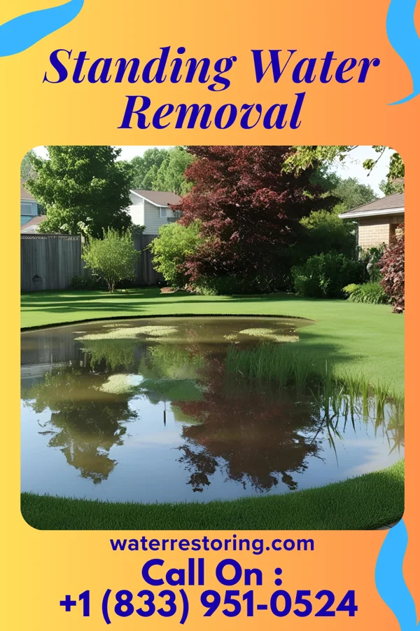 Standing Water Removal in Bowbells, ND
